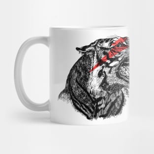 Eye Of The Tiger Apparel Mug